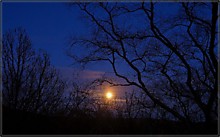 О. Пятин - Луна над волшебным гамовским лесом